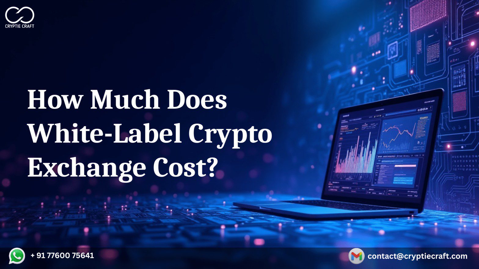 White Label Crypto Exchange Cost